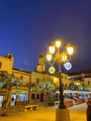 plaza en navidad
